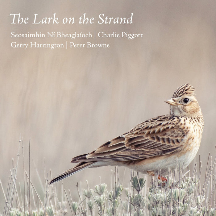 The Lark on the Strand