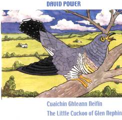 Cuaichín Ghleann Neifín - David Power